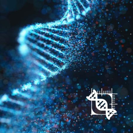 DNA-PATCH-CALCULATION-SEZ-TECH